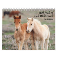 Wild Foals of Salt Wells Creek