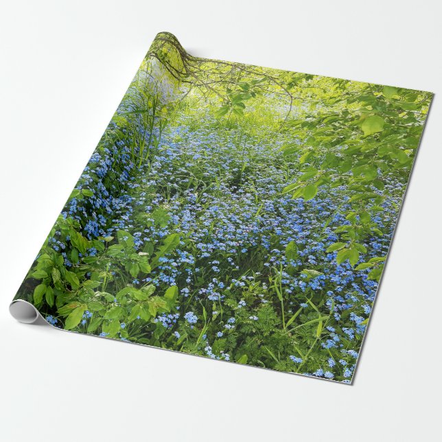 Wild forget me nots flowers photo wrapping paper (Unrolled)