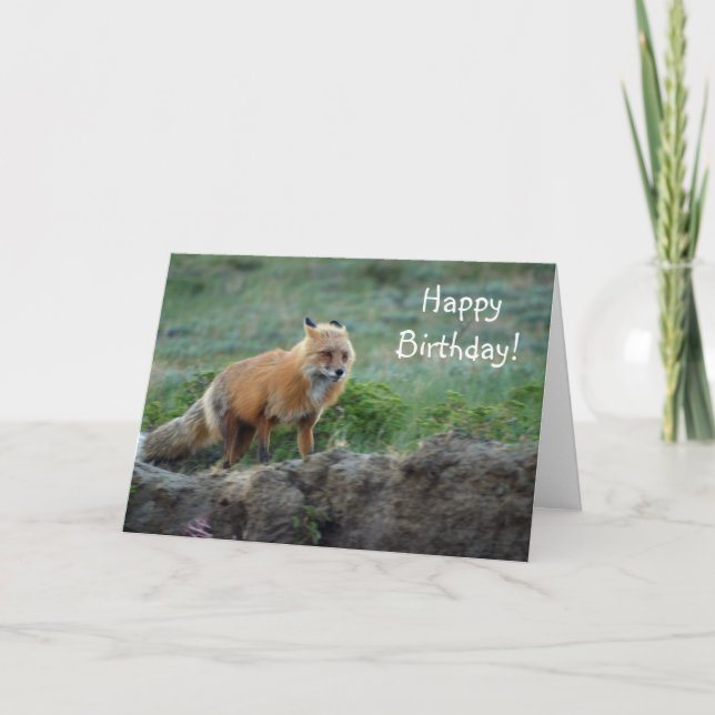 Wild Fox Animal Wildlife Card (Front)