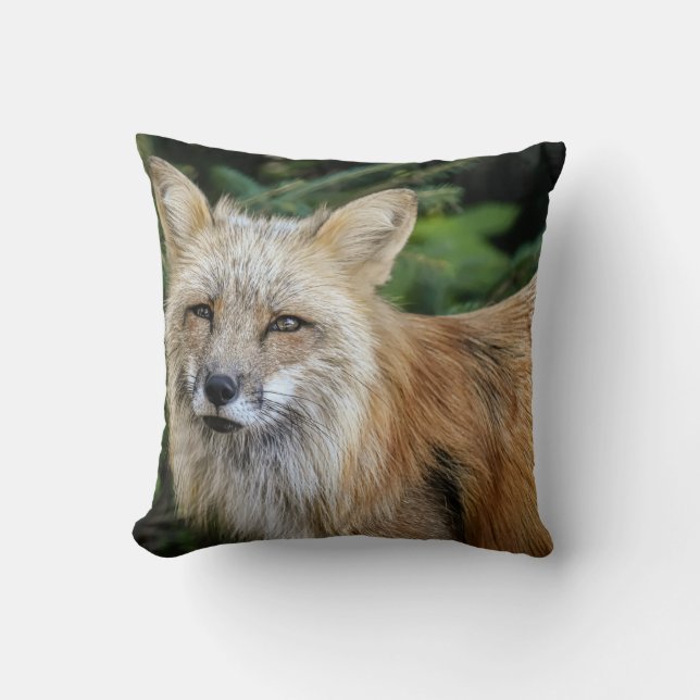 Wild Fox Cushion (Front)
