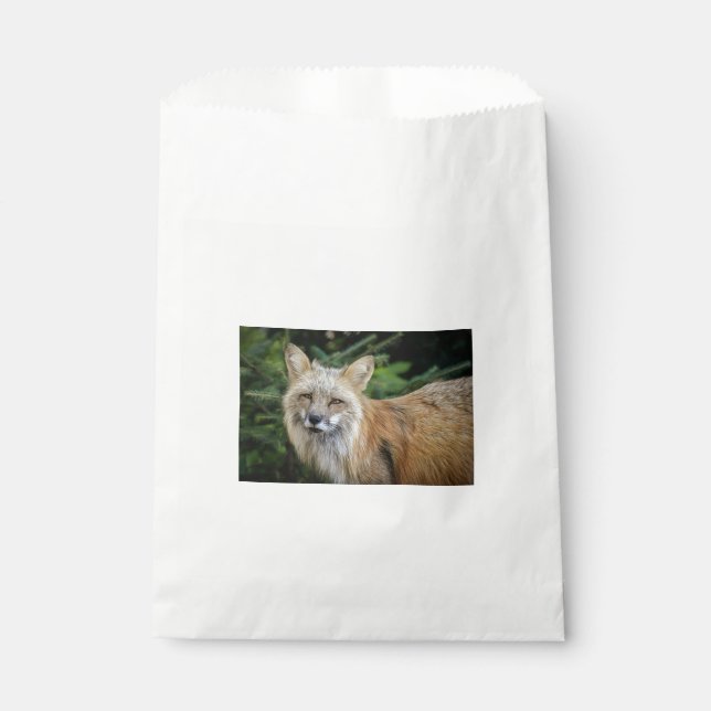 Wild Fox Favour Bags (Front)