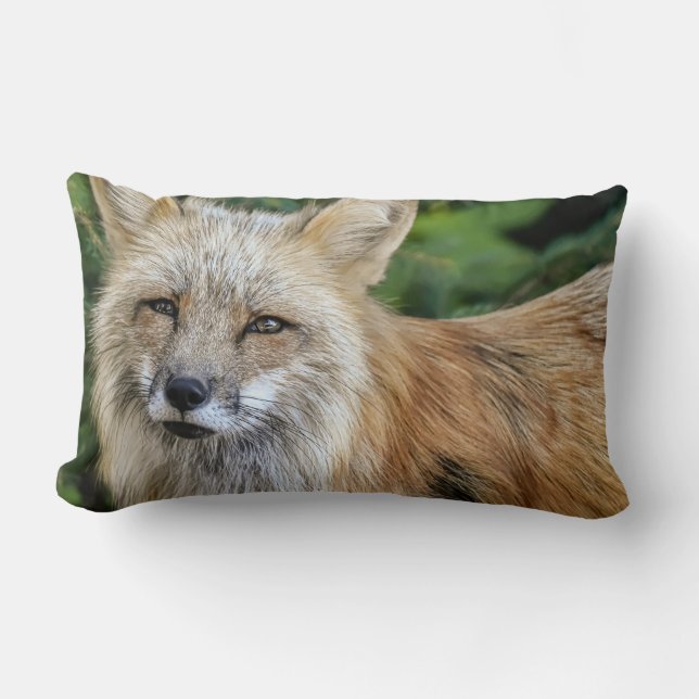 Wild Fox Lumbar Cushion (Front)