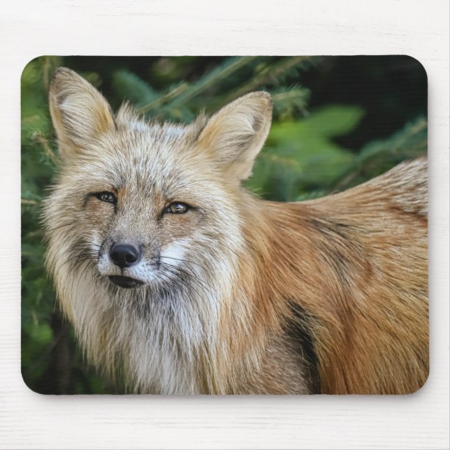 Wild Fox Mouse Pad (Front)