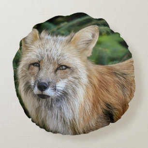 Wild Fox Round Cushion