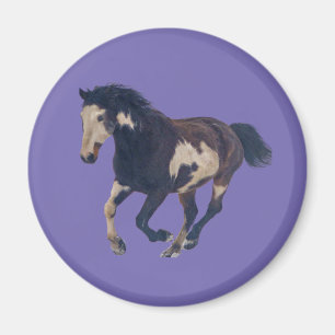 Wild Galloping Pinto American Paint Horse Magnet