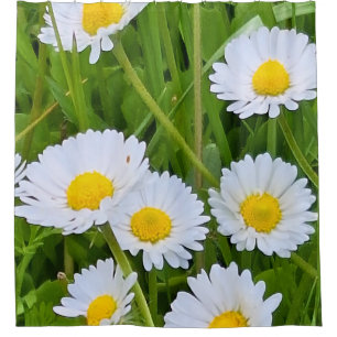 Wild Garden Flowers Romania – Nature Photography Shower Curtain