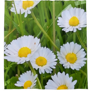 Wild Garden Flowers Romania – Nature Photography Shower Curtain