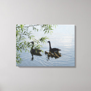 Wild Geese Canvas Print