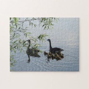 Wild Geese Puzzle