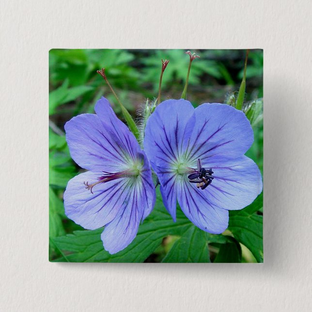 Wild Geranium 15 Cm Square Badge (Front)