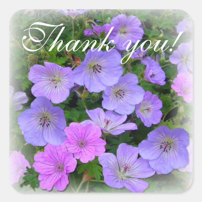 WILD GERANIUM ~ Square Envelope Sealer/Sticker Sticker (Front)