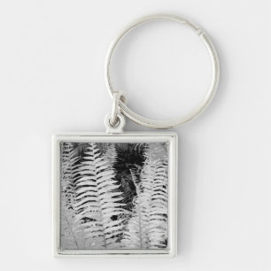 Wild giant leather fern, Florida, USA. Key Ring