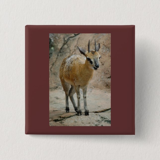 Wild Goats 15 Cm Square Badge (Front)
