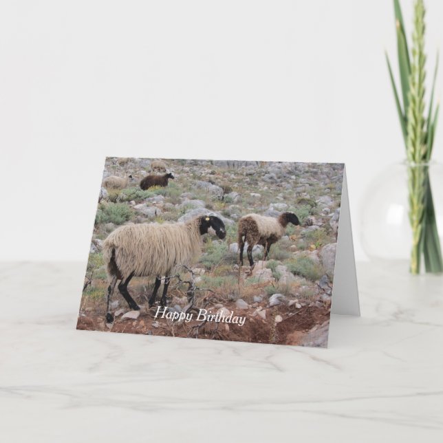 Wild Goats Birthday Greeting Card (Front)