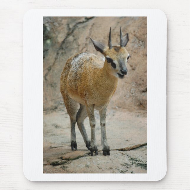 Wild Goats Mouse Pad (Front)