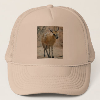 Wild Goats Trucker Hat