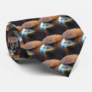 Wild Golden Eagle in Brown Tie
