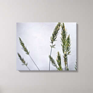 Wild Grass Seeds Canvas Print