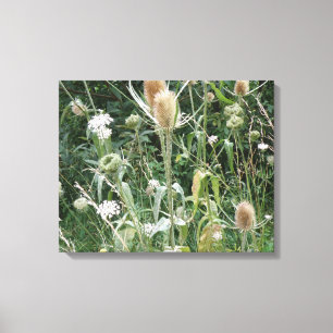 Wild Grasses Canvas Print