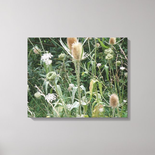 Wild Grasses Canvas Print (Front)