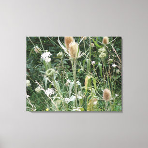 Wild Grasses Canvas Print