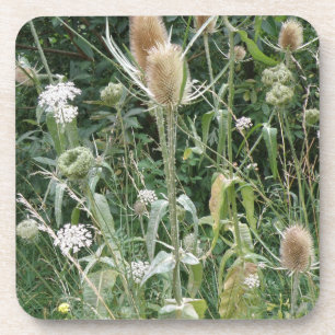 Wild Grasses Cork Coaster