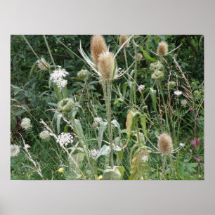 Wild Grasses Print