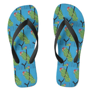 wild green parrots blue jandals