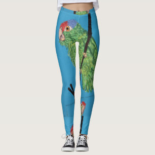 wild green parrots blue leggings