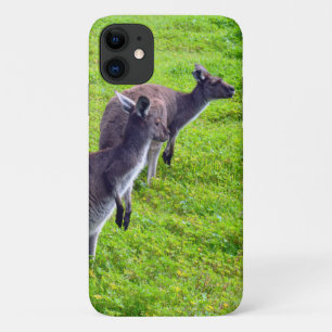 Wild Grey Australian Kangaroos, Case-Mate iPhone Case