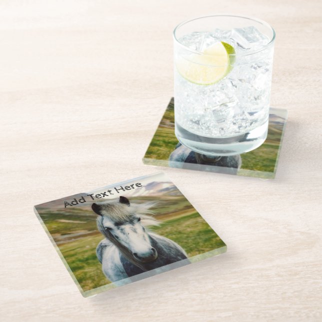 Wild Grey Horse in the Mountains Glass Coaster (Angled)