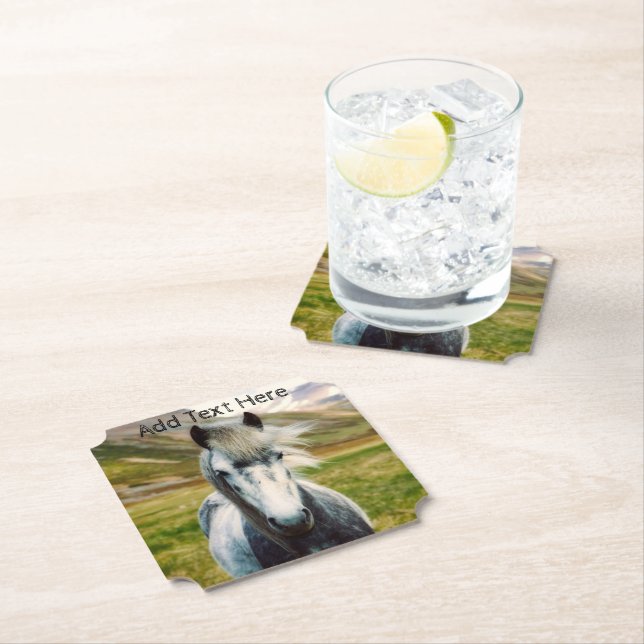 Wild Grey Horse in the Mountains Paper Coaster (Insitu)