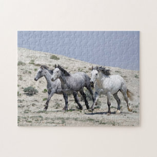 Wild Grey Horses Jigsaw Puzzle