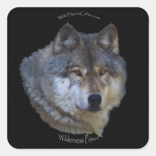 WILD GREY WOLF Stickers