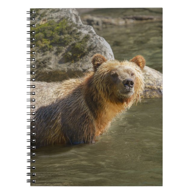 Wild Grizzly Bear At The Orford River Notebook (Front)