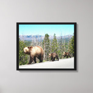 Wild Grizzly Bear Mama and Cubs in Yellowstone Canvas Print