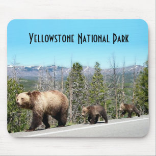 Wild Grizzly Bear Mama and Cubs in Yellowstone Mouse Pad