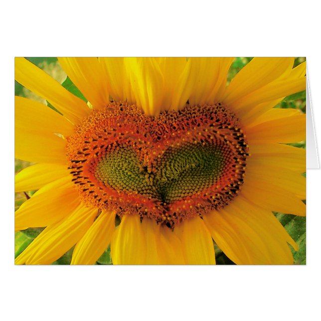 Wild heart, Sunflower heart card, love, wedding (Front Horizontal)