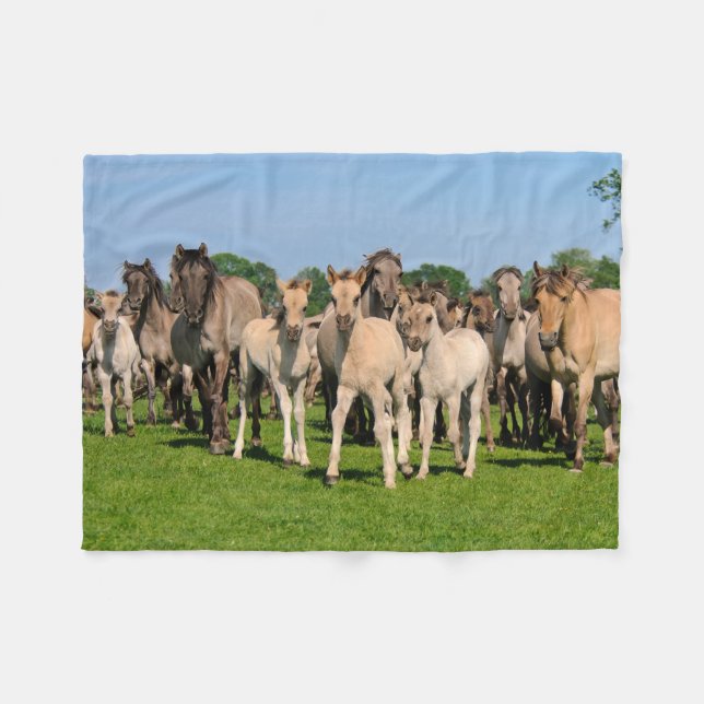 Wild Herd Grullo Coloured Dulmen Horses Foals - Fleece Blanket (Front (Horizontal))