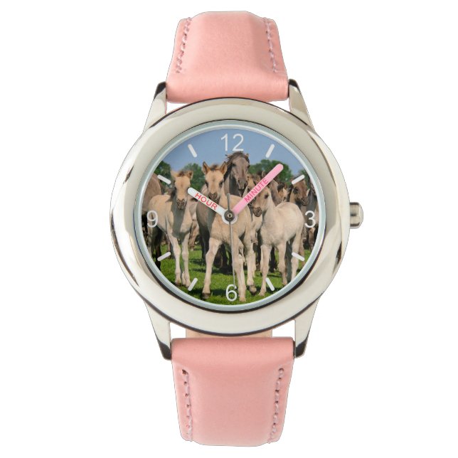 Wild Herd Grullo Dulmen Horses Foals -- dial-plate Watch (Front)