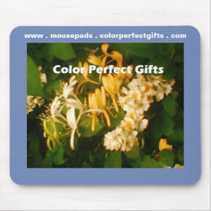 Wild Honeysuckle Rose Mouse Pad