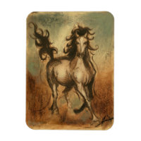 Wild Horse and Warm Colours