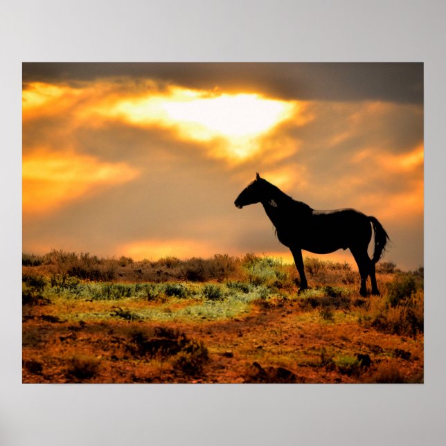 Wild Horse at Sunset Poster (Front)