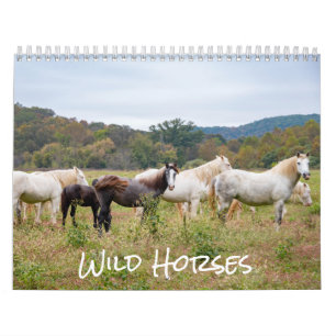 Wild Horse Calendar