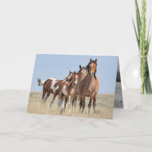 Wild Horse Family Leans Wild Horse Greeting Card