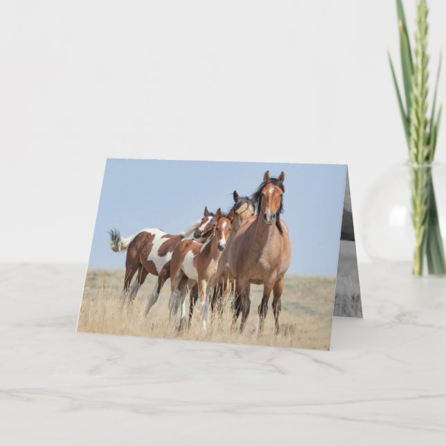 Wild Horse Family Leans Wild Horse Greeting Card (Front)