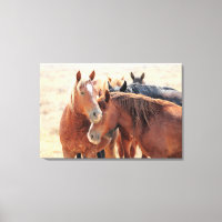 Wild Horse Family Ties