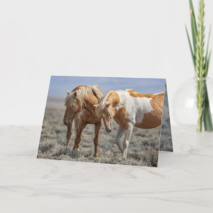 Wild Horse Father and Son Wild Horse Greeting Card