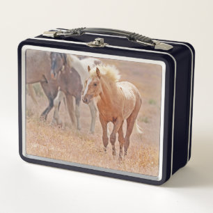 Wild horse foal lunchbox