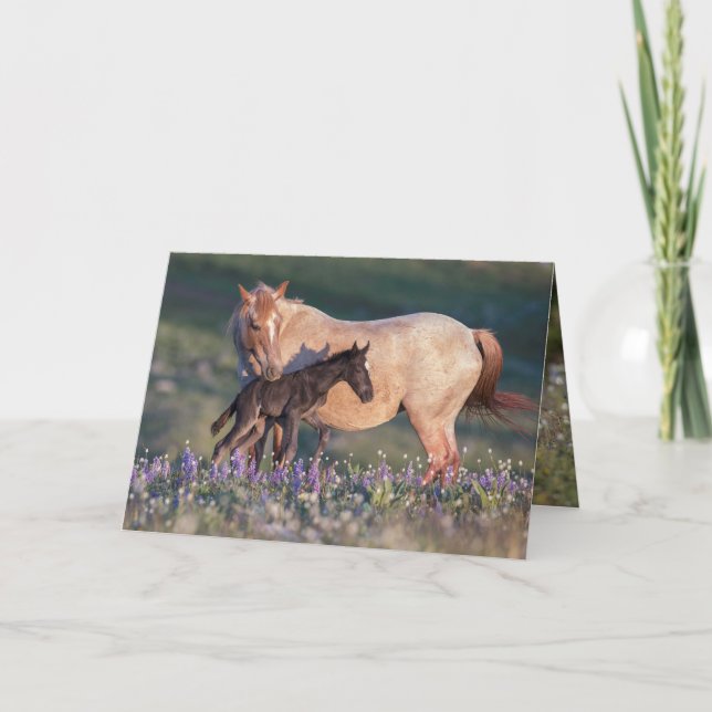 Wild Horse Greeting Card - Electra & Pandora (Front)